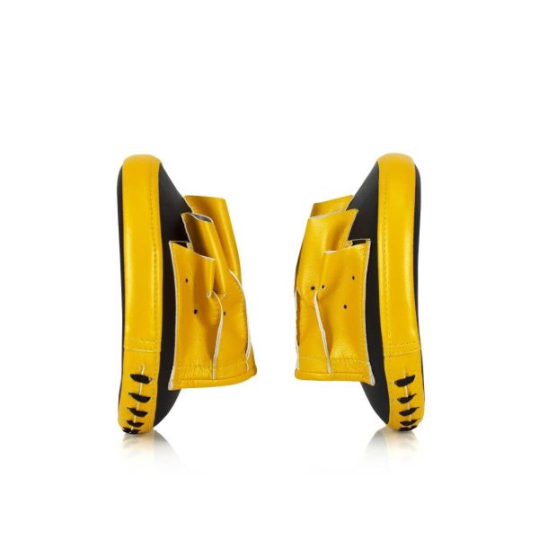 Fairtex FMV15 Curved Focus Mitts - Image 5