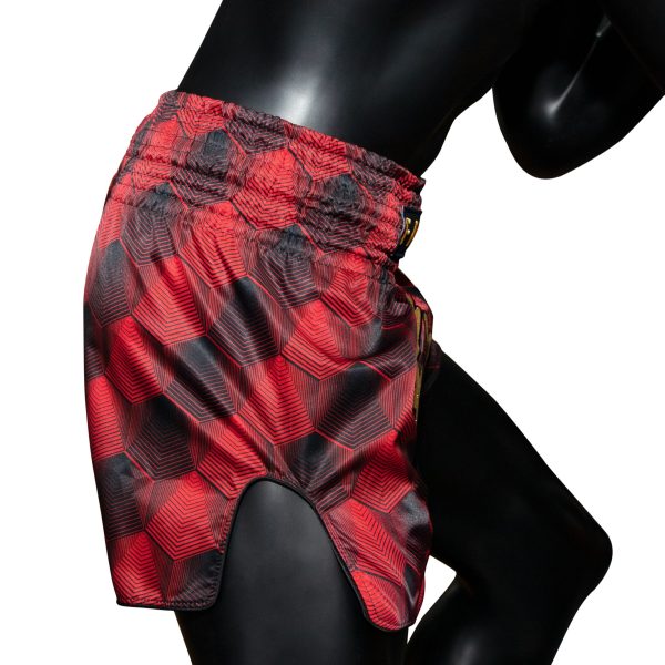 Muay Thai Shorts - BS1919 - Image 2