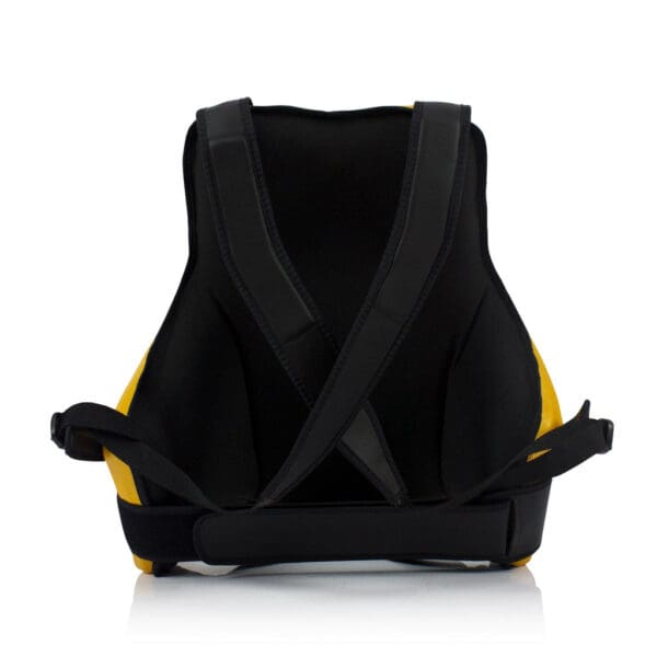 Fairtex TV2 Trainer Vest - Black/Gold - Image 4